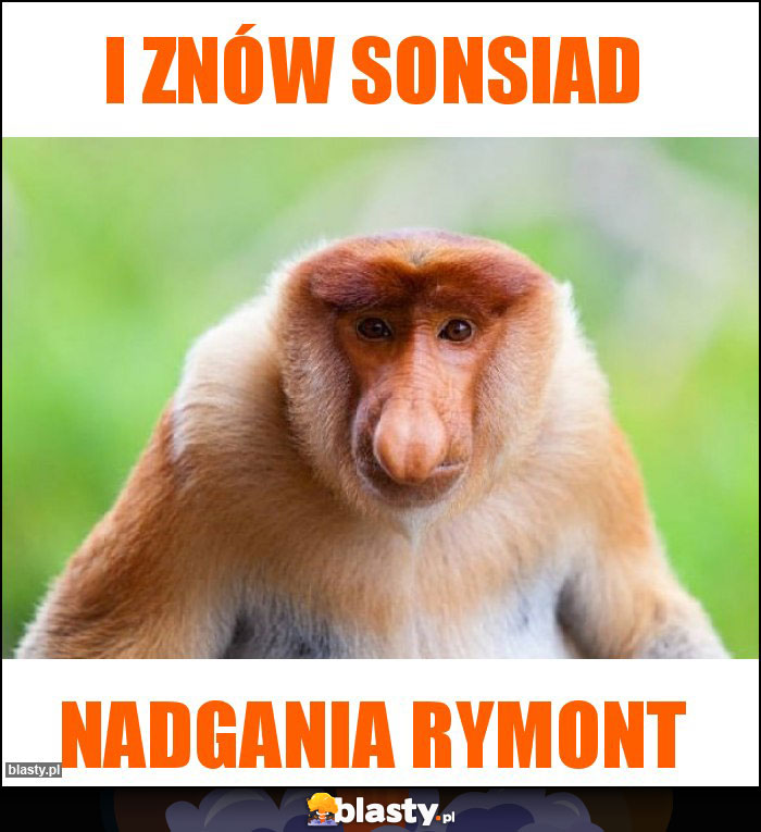 I znóW sonsiad I znóW sonsiad