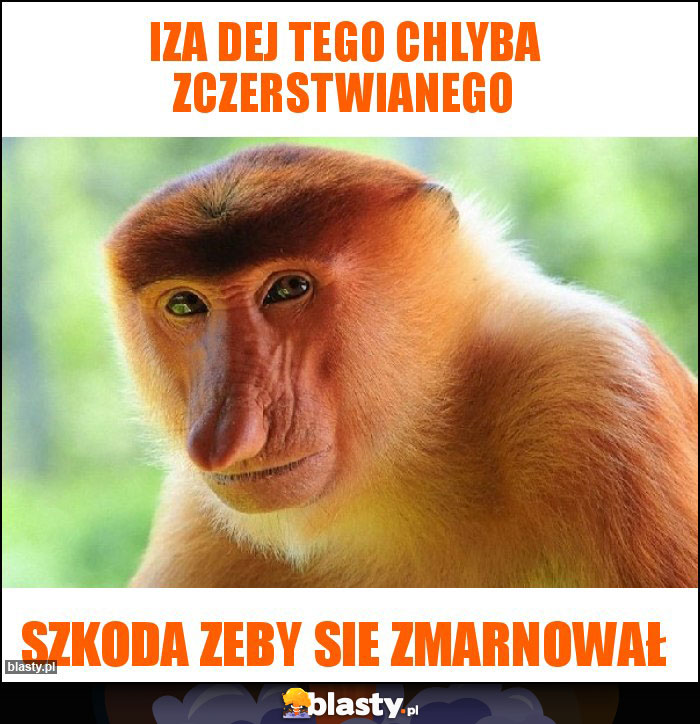 Iza Dej tego chlyba zczerstwianego Iza Dej tego chlyba zczerstwianego