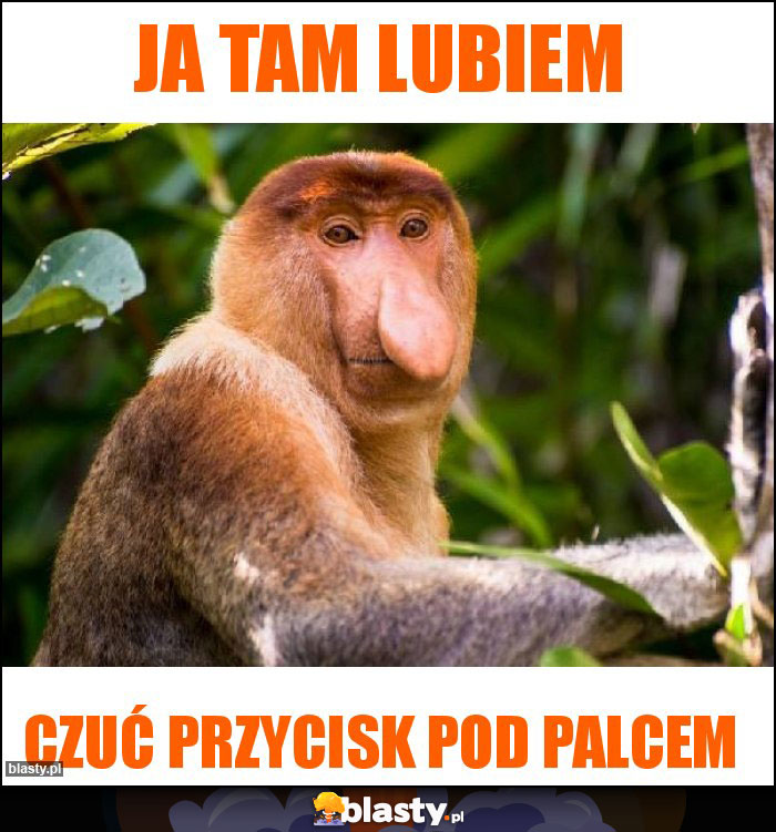 Ja tam lubiem Ja tam lubiem