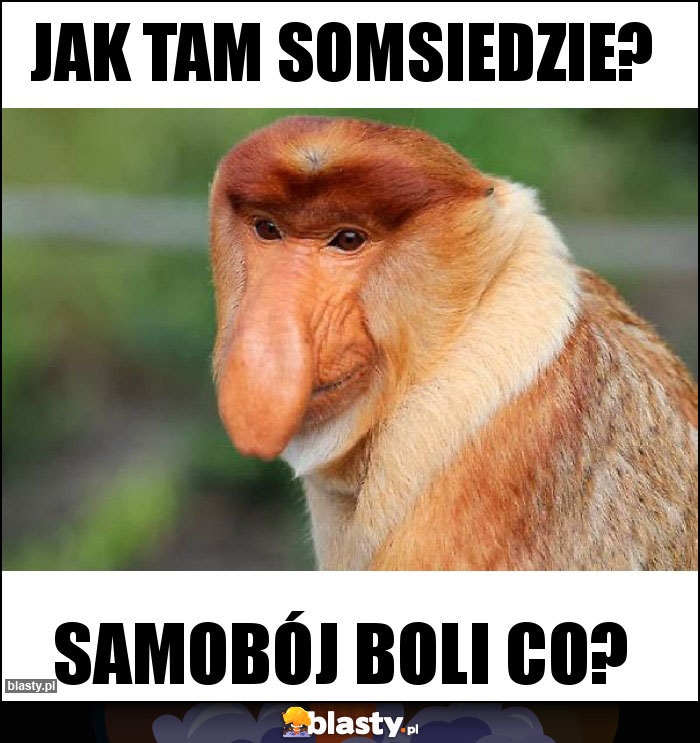 Jak tam somsiedzie? Jak tam somsiedzie?