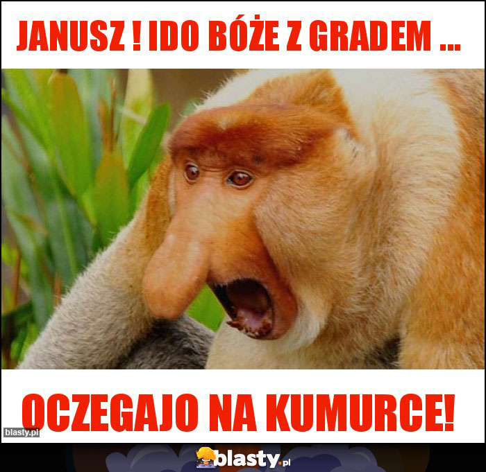 Janusz ! Ido bóże z gradem ... Janusz ! Ido bóże z gradem ...