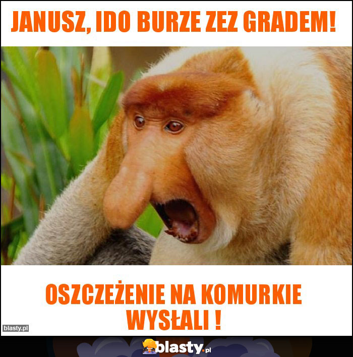 Janusz, ido burze zez gradem! Janusz, ido burze zez gradem!