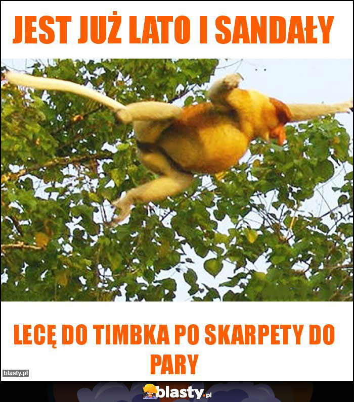 Jest już lato i sandały Jest już lato i sandały