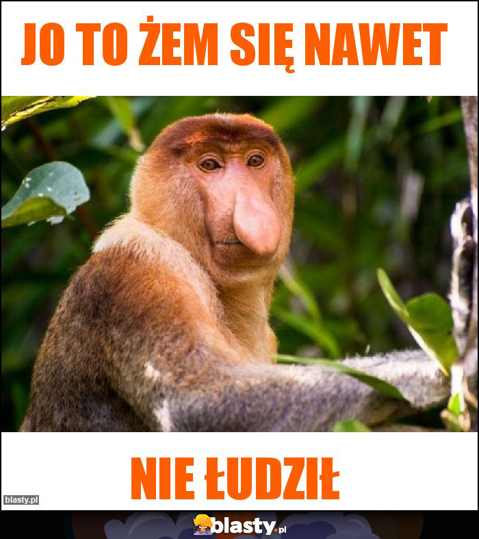 Jo to żem się nawet Jo to żem się nawet