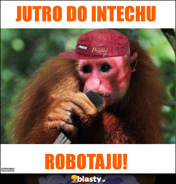 Jutro do intechu Jutro do intechu
