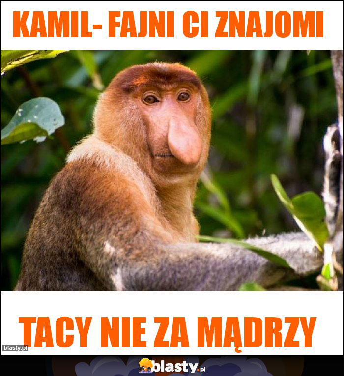 Kamil- fajni ci znajomi Kamil- fajni ci znajomi