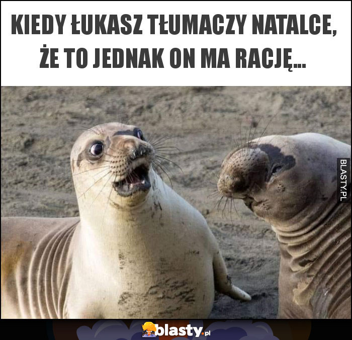 Kiedy Łukasz tłumaczy Natalce, że to jednak on ma rację... Kiedy Łukasz tłumaczy Natalce, że to jednak on ma rację...