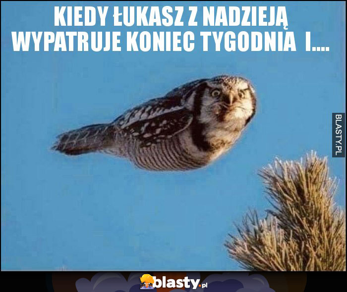Kiedy Łukasz z nadzieją wypatruje koniec tygodnia i.... Kiedy Łukasz z nadzieją wypatruje koniec tygodnia i....