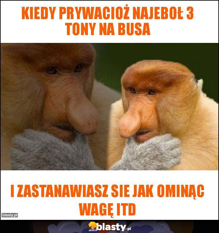 KIEDY PRYWACIOŻ NAJEBOŁ 3 TONY NA BUSA
