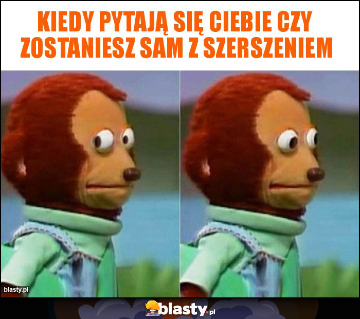 Kiedy pytają się ciebie czy zostaniesz sam z szerszeniem Kiedy pytają się ciebie czy zostaniesz sam z szerszeniem