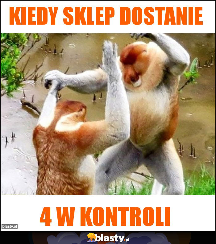 KIEDY SKLEP DOSTANIE KIEDY SKLEP DOSTANIE