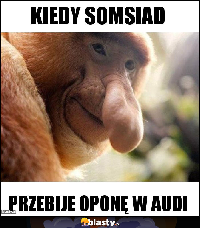 Kiedy somsiad Kiedy somsiad