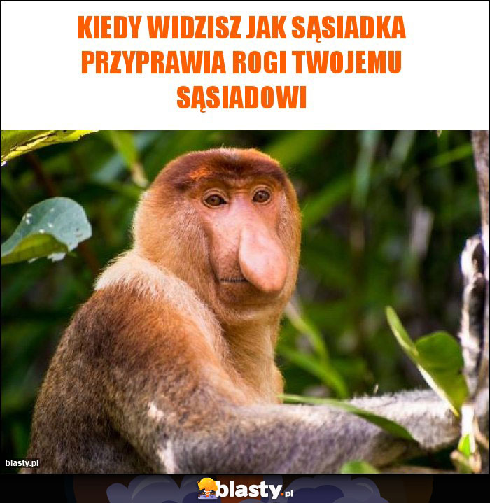 Kiedy widzisz jak sąsiadka przyprawia rogi twojemu sąsiadowi Kiedy widzisz jak sąsiadka przyprawia rogi twojemu sąsiadowi