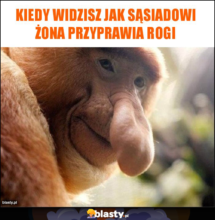 Kiedy widzisz jak sąsiadowi żona przyprawia rogi Kiedy widzisz jak sąsiadowi żona przyprawia rogi