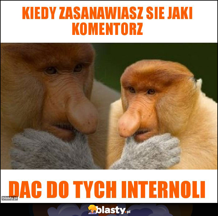Kiedy zasanawiasz sie jaki komentorz Kiedy zasanawiasz sie jaki komentorz