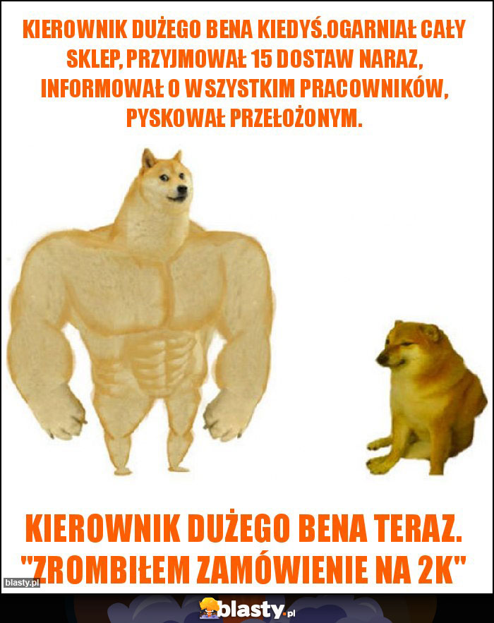 Kierownik Dużego Bena kiedyś.Ogarniał cały sklep, przyjmował 15 dostaw naraz, informował o wszystkim pracowników, pyskował przełożonym. Kierownik Dużego Bena kiedyś.Ogarniał cały sklep, przyjmował 15 dostaw naraz, informował o wszystkim pracowników, pyskował przełożonym.