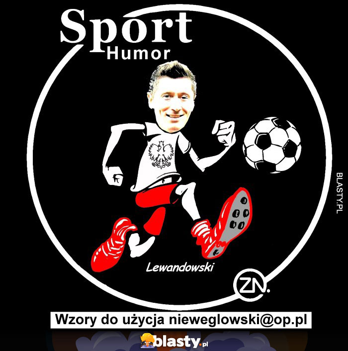 koszulka wzór sport koszulka wzór sport