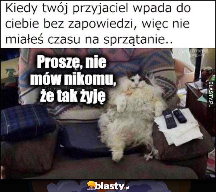 Kot kiedy Twój przyjaciel wpada do Ciebie bez zapowiedzi, więc nie miałeś czasu na sprzątanie, proszę nie mów nikomu, że tak żyję