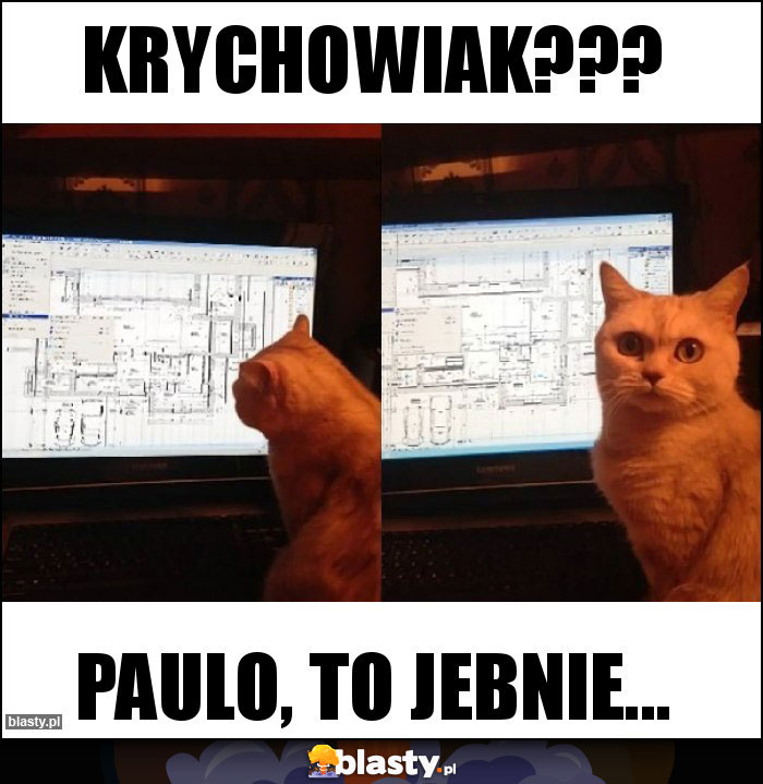 Krychowiak??? Krychowiak???
