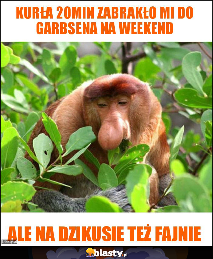 Kurła 20min zabrakło mi do garbsena na weekend Kurła 20min zabrakło mi do garbsena na weekend
