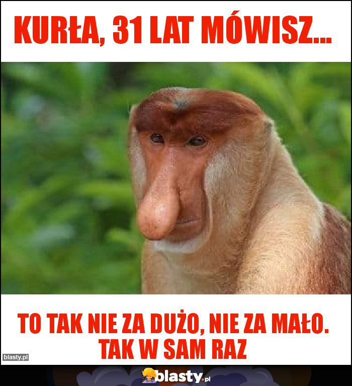KURŁA, 31 lat mówisz... KURŁA, 31 lat mówisz...