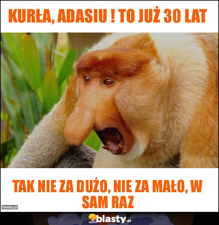 kurła, Adasiu ! to już 30 lat kurła, Adasiu ! to już 30 lat