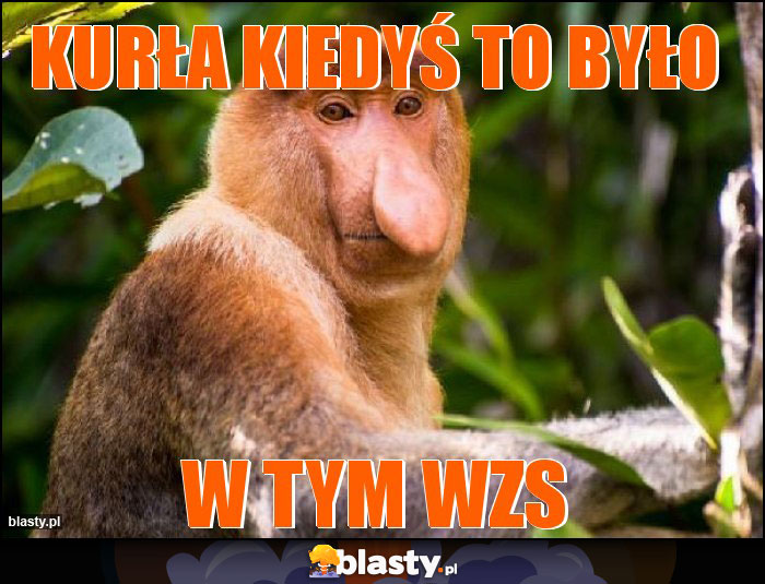 KURŁA KIEDYŚ TO BYŁO KURŁA KIEDYŚ TO BYŁO