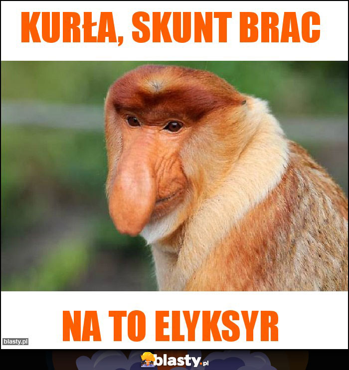 Kurła, skunt brac Kurła, skunt brac
