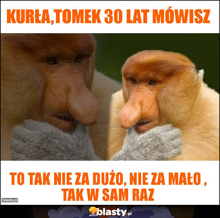 KUrła,Tomek 30 lat mówisz KUrła,Tomek 30 lat mówisz