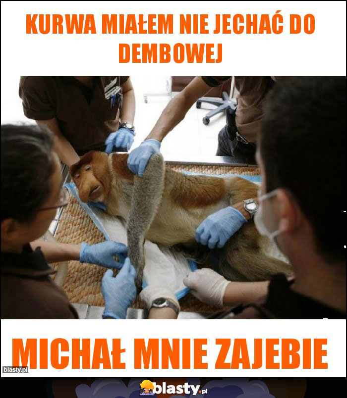 Kurwa miałem nie jechać do dembowej Kurwa miałem nie jechać do dembowej