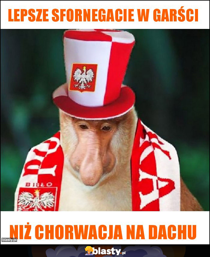 Lepsze sfornegacie w garści Lepsze sfornegacie w garści