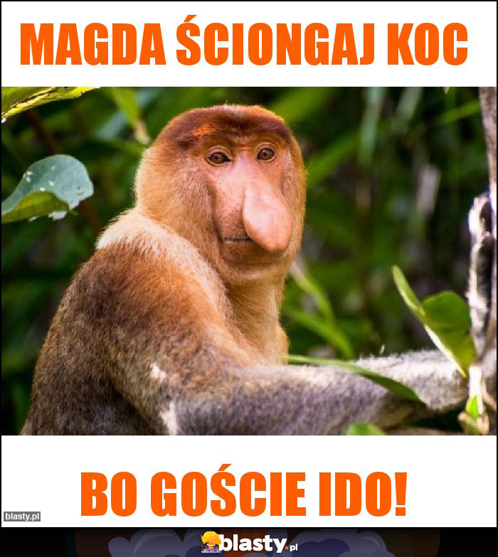 Magda ściongaj koc Magda ściongaj koc