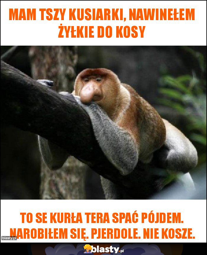 Mam tszy kusiarki, nawinełem żyłkie do kosy Mam tszy kusiarki, nawinełem żyłkie do kosy