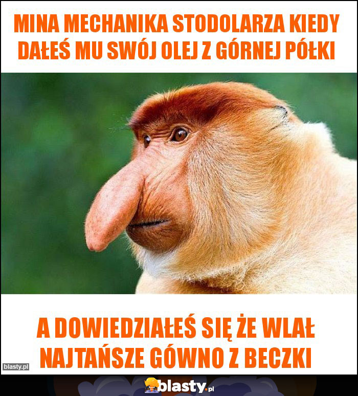 Mina mechanika stodolarza kiedy dałeś mu swój olej z górnej półki Mina mechanika stodolarza kiedy dałeś mu swój olej z górnej półki