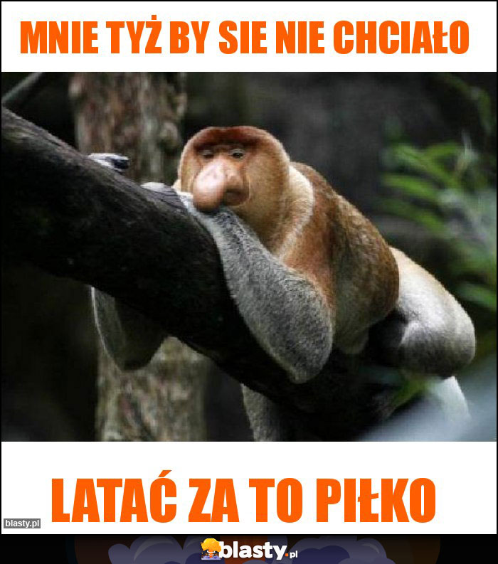 Mnie tyż by sie nie chciało Mnie tyż by sie nie chciało