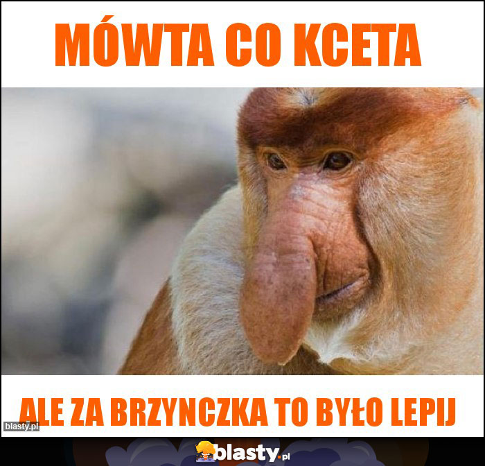 Mówta co kceta Mówta co kceta