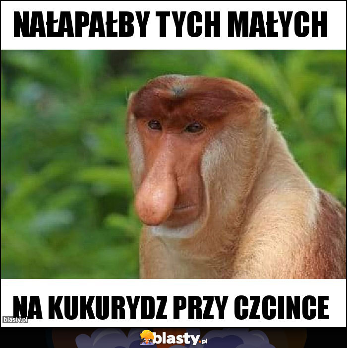 Nałapałby tych małych Nałapałby tych małych