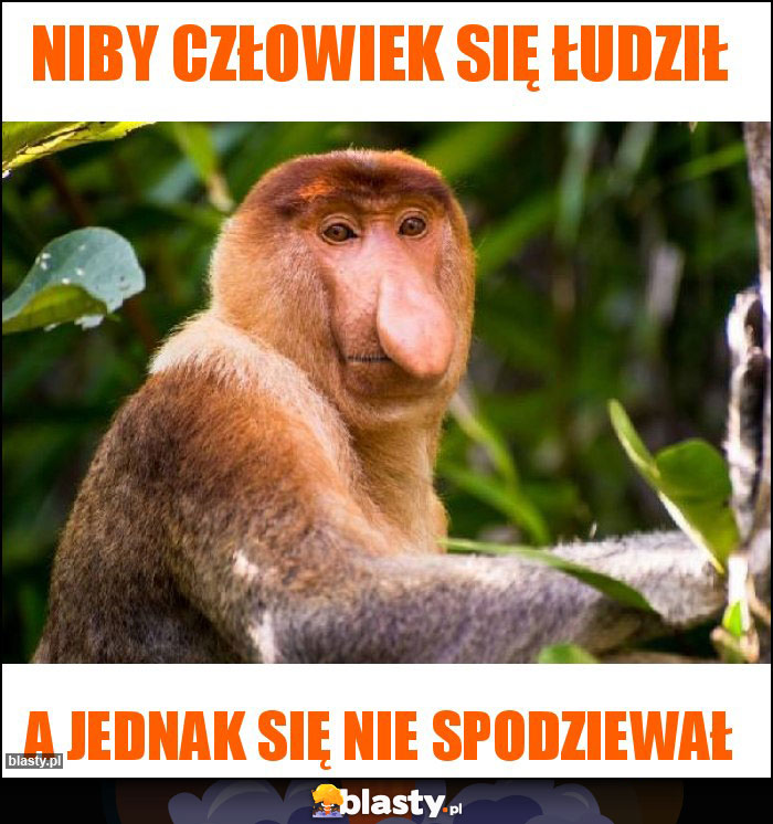 Niby człowiek się łudził Niby człowiek się łudził