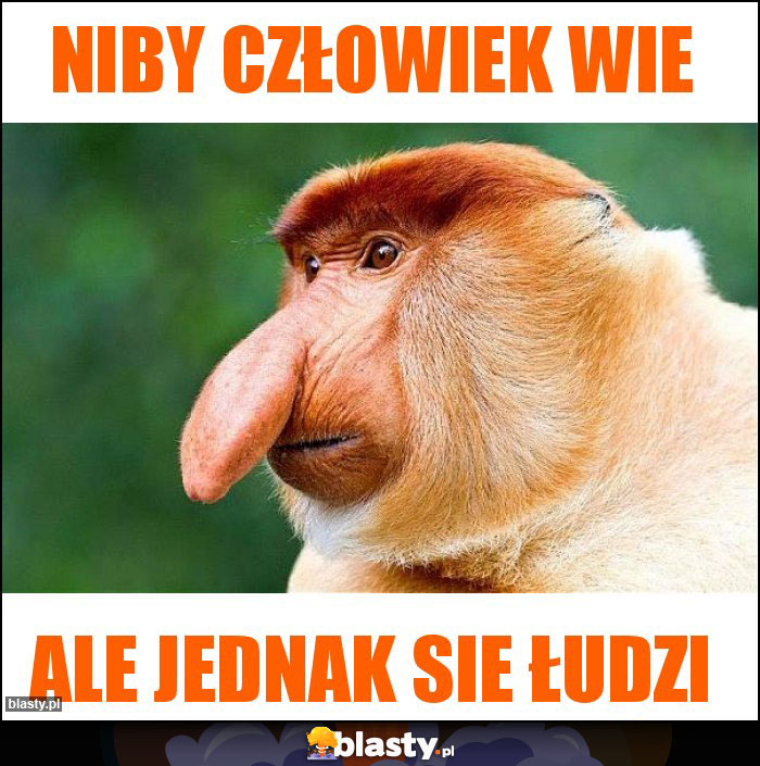 Niby człowiek wie Niby człowiek wie