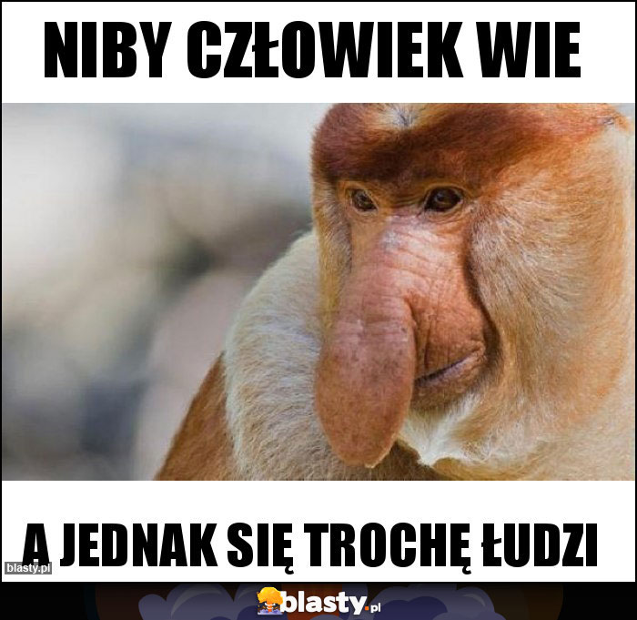 Niby człowiek wie Niby człowiek wie