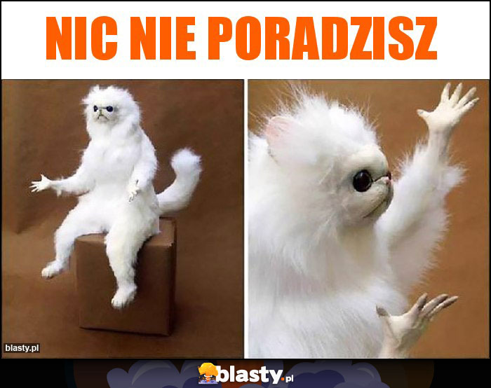 Nic nie poradzisz Nic nie poradzisz