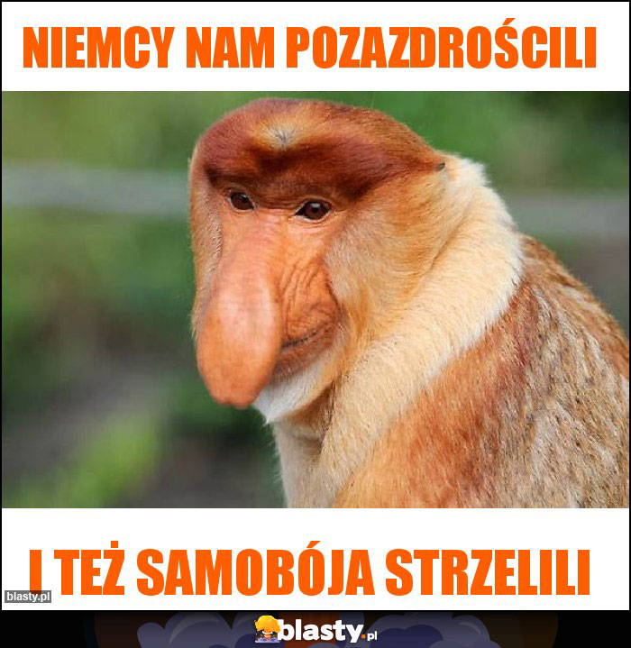 Niemcy nam pozazdrościli Niemcy nam pozazdrościli
