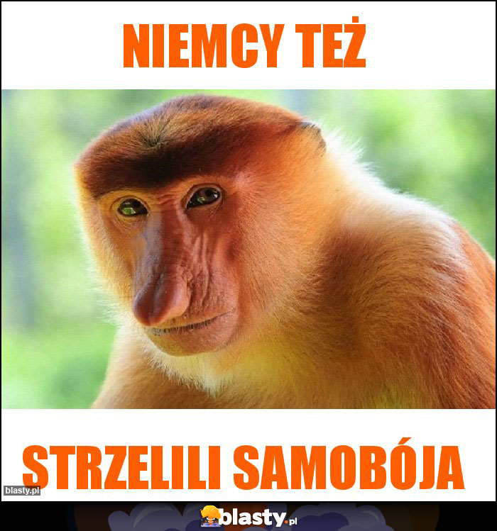 Niemcy też Niemcy też