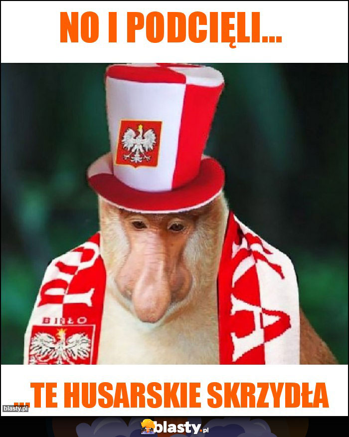No i podcięli... No i podcięli...