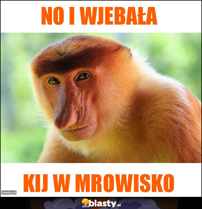 No i wjebała No i wjebała
