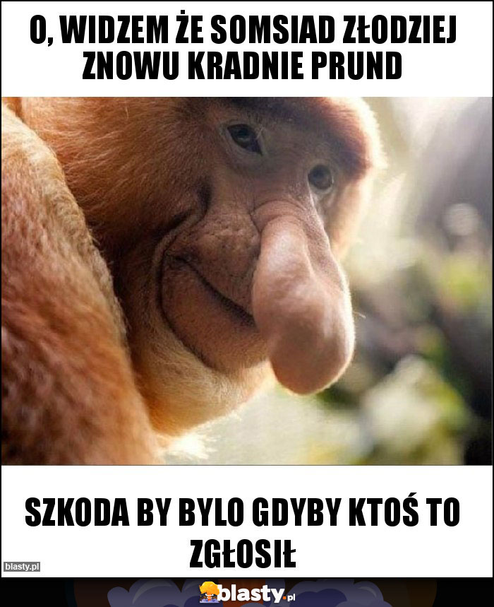 O, WIDZEM ŻE SOMSIAD ZŁODZIEJ ZNOWU KRADNIE PRUND O, WIDZEM ŻE SOMSIAD ZŁODZIEJ ZNOWU KRADNIE PRUND