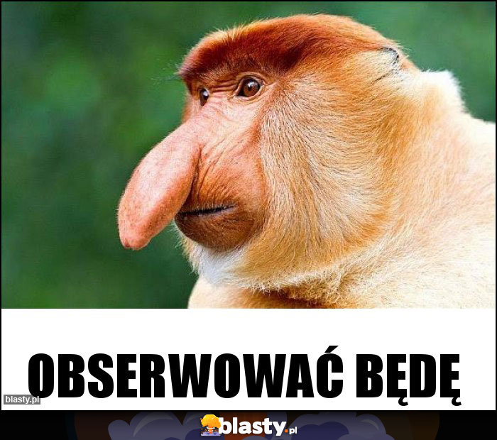 OBSERWOWAĆ BĘDĘ OBSERWOWAĆ BĘDĘ