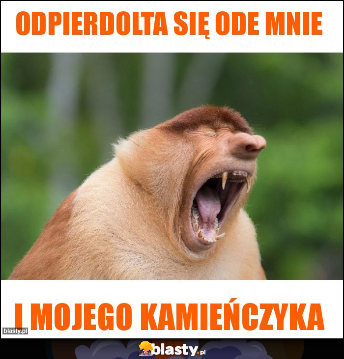 ODPIERDOLTA SIĘ ODE MNIE ODPIERDOLTA SIĘ ODE MNIE