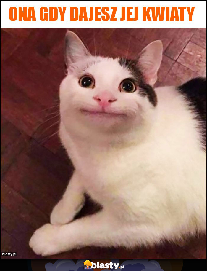 Ona gdy dajesz jej kwiaty Ona gdy dajesz jej kwiaty