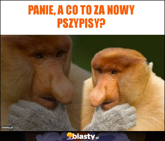 Panie, a co to za nowy pszypisy? Panie, a co to za nowy pszypisy?